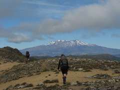 Walking along Te Hiwiokaituri Ridge