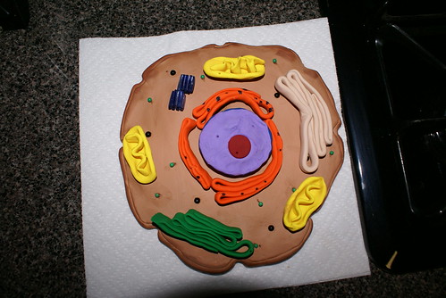 animal cell project pictures. Tyler#39;s animal cell project
