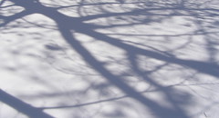 snow shadow