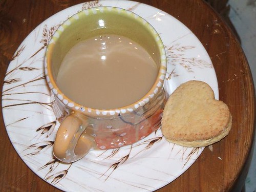 custard cream with tea