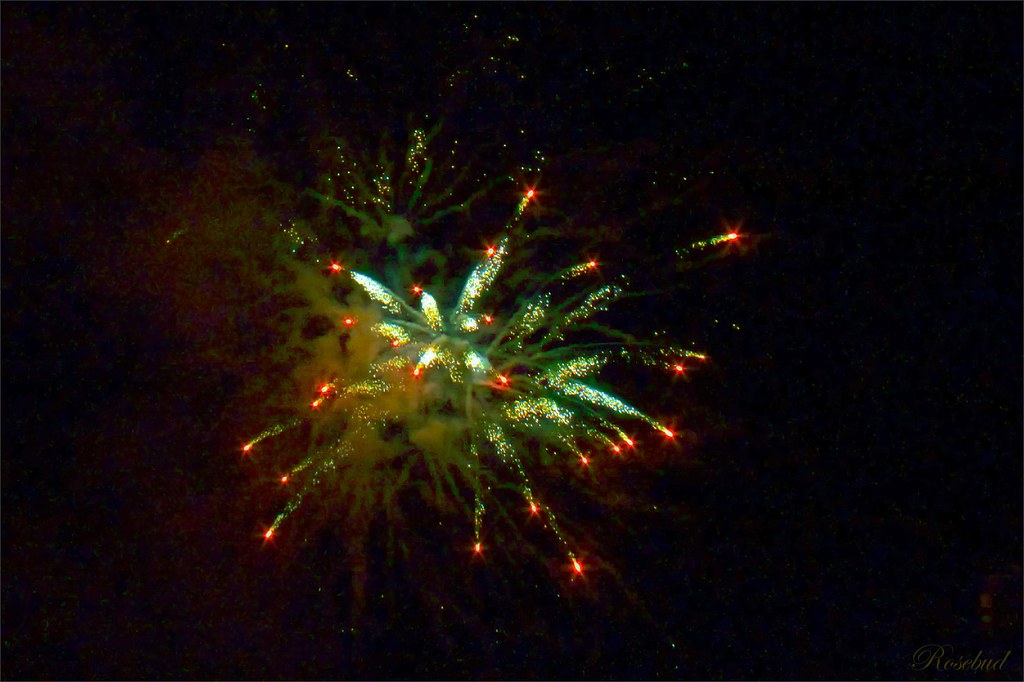 fireworks 1©2008 RosebudPenfold