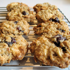 cranberry white chocolate cookie 2388
