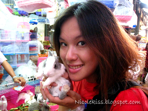 me and cute baby bunny