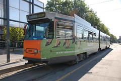 Tram No.16
