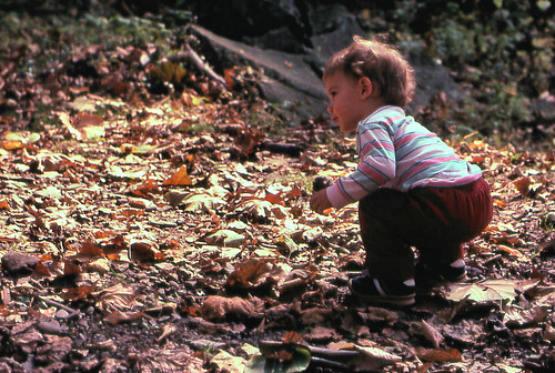 Picking Up Leaves