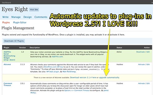Upgrade Plug-Ins Automatically in WordPress 2.5