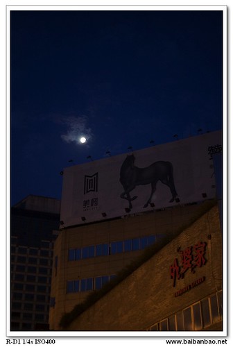 moon-horse-7349