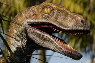 Velociraptor, as portrayed in the film Jurassic Park (Digital Images)