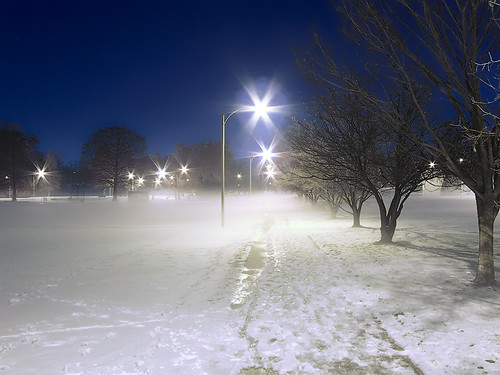 Francis Park, in Saint Louis, Missouri, USA - snow and fog