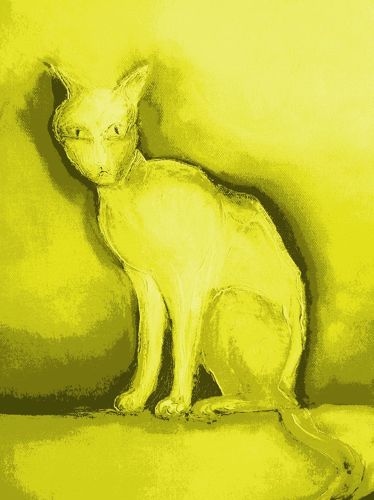 yellowcat
