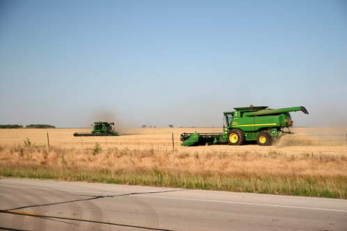 One combine opens up a terrace while the other heads round the field.