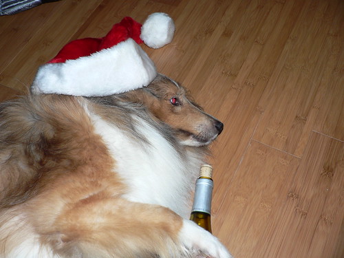 Drunk Christmas Dog