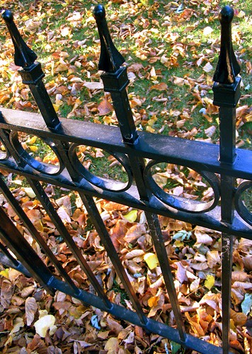 Fence and Leaves