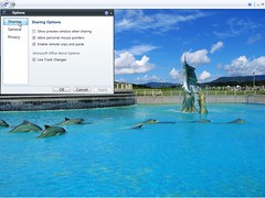 Windows Live Shared View beta