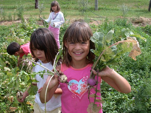 Girls picking radishes in a RS garden. by Running Strong for American Indian Youth.