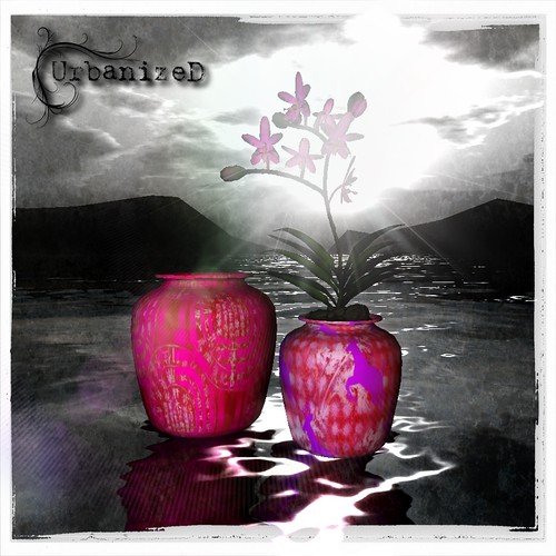 UrbanizeD - Vase "Queen" Limited Edition for Oh-My-Stars O-Rama