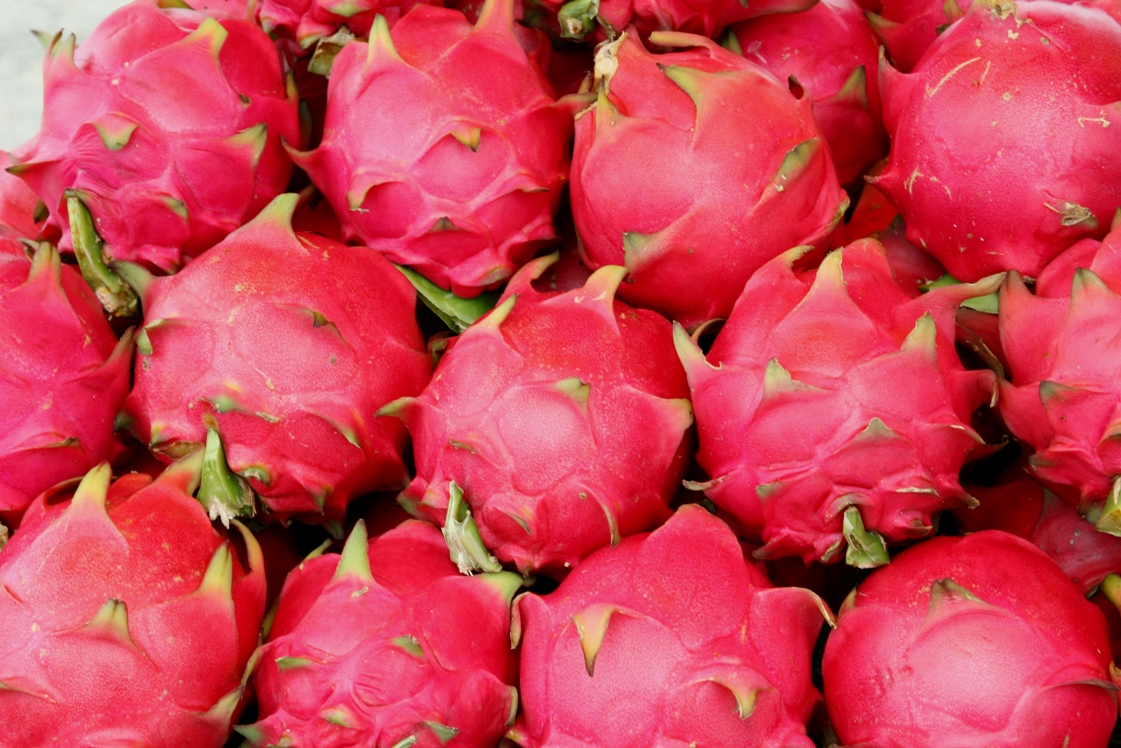 More of Beautiful Dragon Fruits Wallpapers