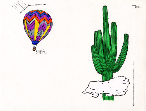 Hot Air Balloon & Cactus