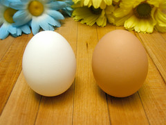 ２つの卵