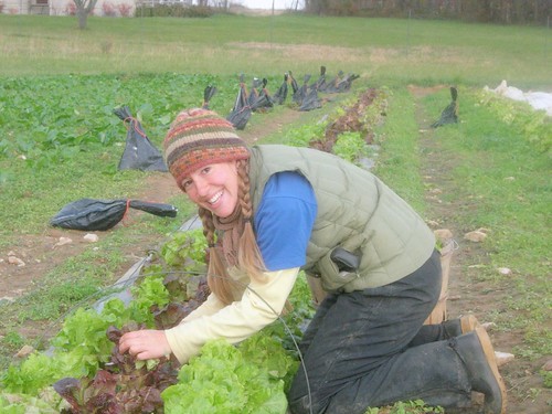 Meet your farmers: Lisa