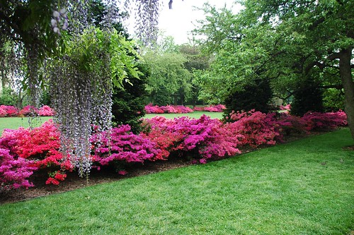 Brooklyn Botanical Garden On Pinterest Botanical Gardens 400 x 300
