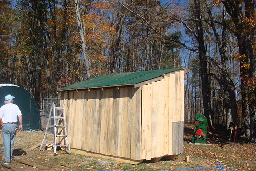 inexpensive shed roofing? welcome to the homesteading
