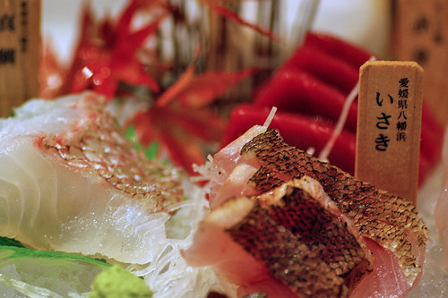 OLM-sashimi with brand