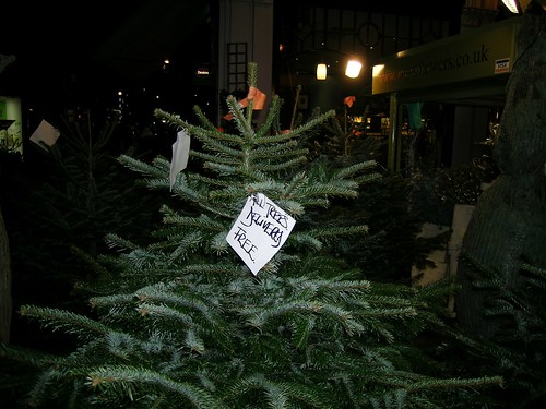 Christmas Trees for Sale