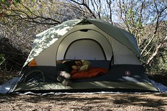 Pimp Tent
