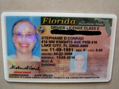 FL-License