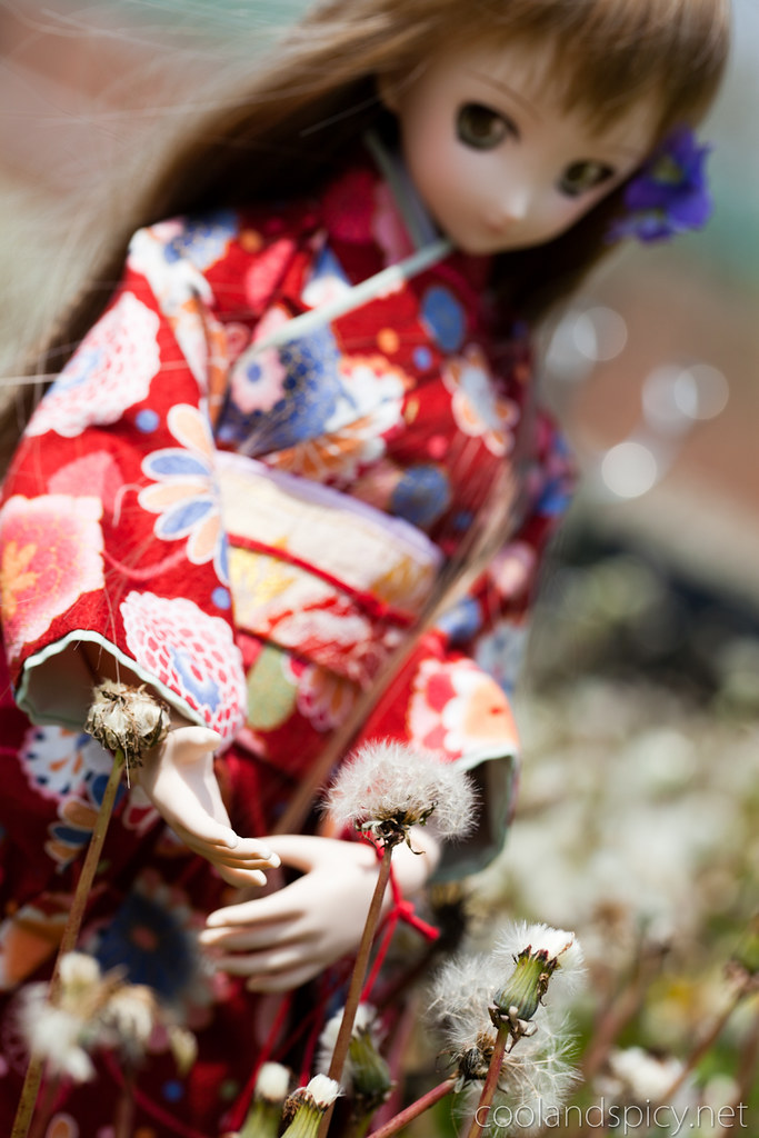 marisa kimono-10