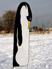 Penguin (appropriate)