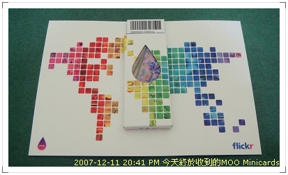 Moo Minicards004