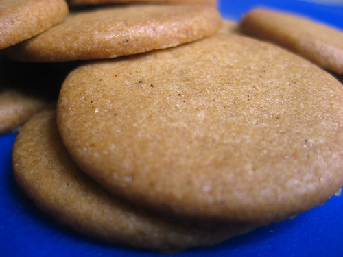 morovian spice cookie