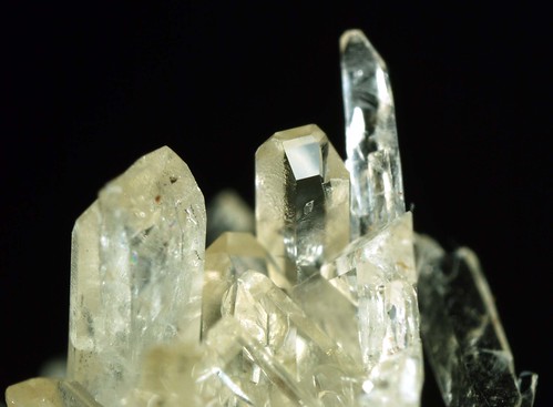 aconitine crystals