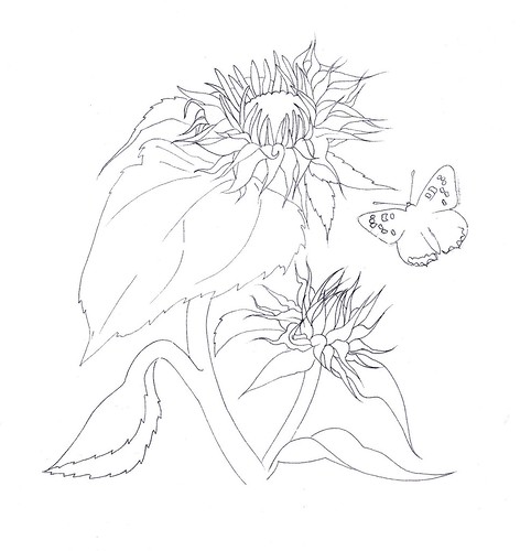 free clip art sunflower. Sunsunflower free clip art