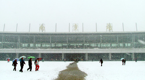 南京大雪