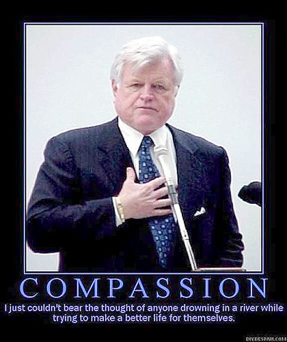 Teddy Compassion