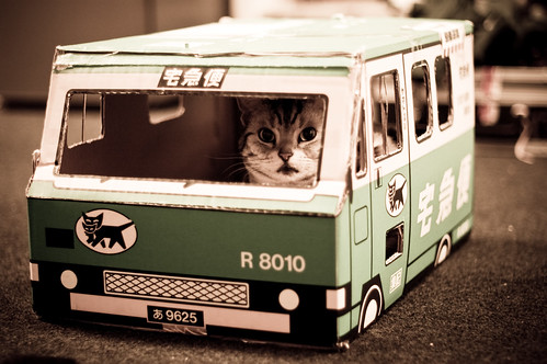 Cardboard Bus