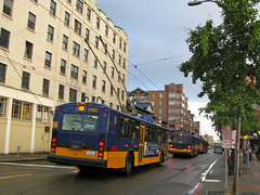 Electric trolley buses such as this one (downtown) have been a common sight on Beacon Avenue for decades. Photo by Oran Viriyincy.