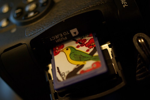 PENTAX K-7 SD card (by HAMACHI!)