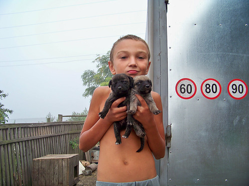 Maxime with puppies in the village