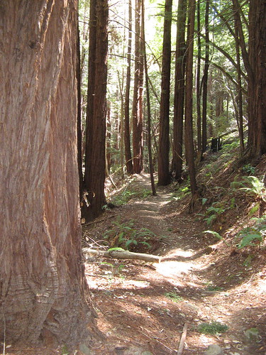 Raymundo Trail