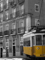 Lisboa tramvia