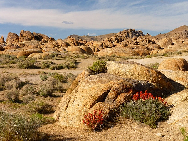 Afternoon Color in the Alabama Hills