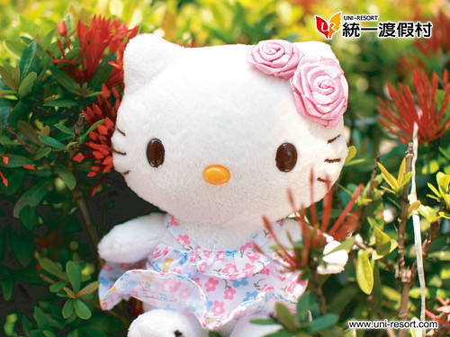 hello kitty wallpaper. Wallpaper Hello Kitty Uni-