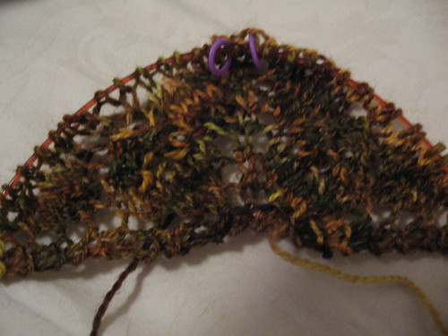 Leaf Lace Shawl - 5/27/09