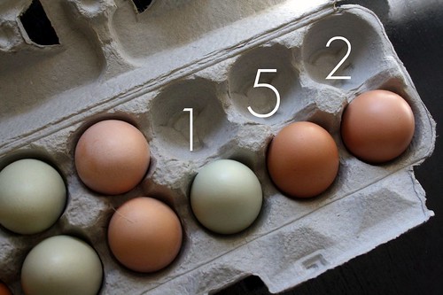 152 eggs