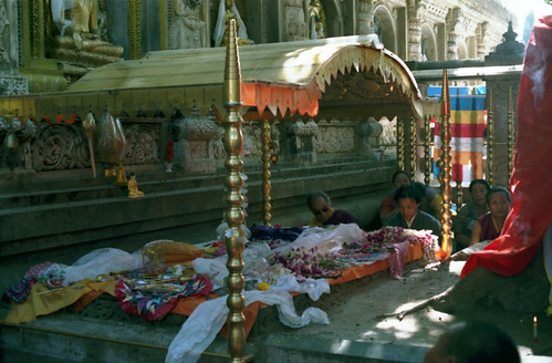 Under the Bodhi tree, At Lord Buddha's enlightenment seat, The Vajrasana, (Sanskrit for "diamond throne"), offerings under the new cover, flowers, khatas, buddhist flag, His Holiness Dagchen Sakya, his son Ani, monks, relative, BodhGaya, H.P., India, 1993 by Wonderlane