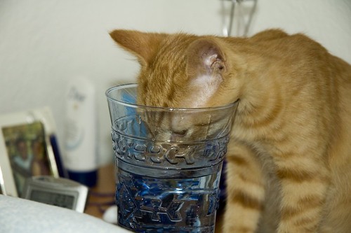 07_drinking_from_glass